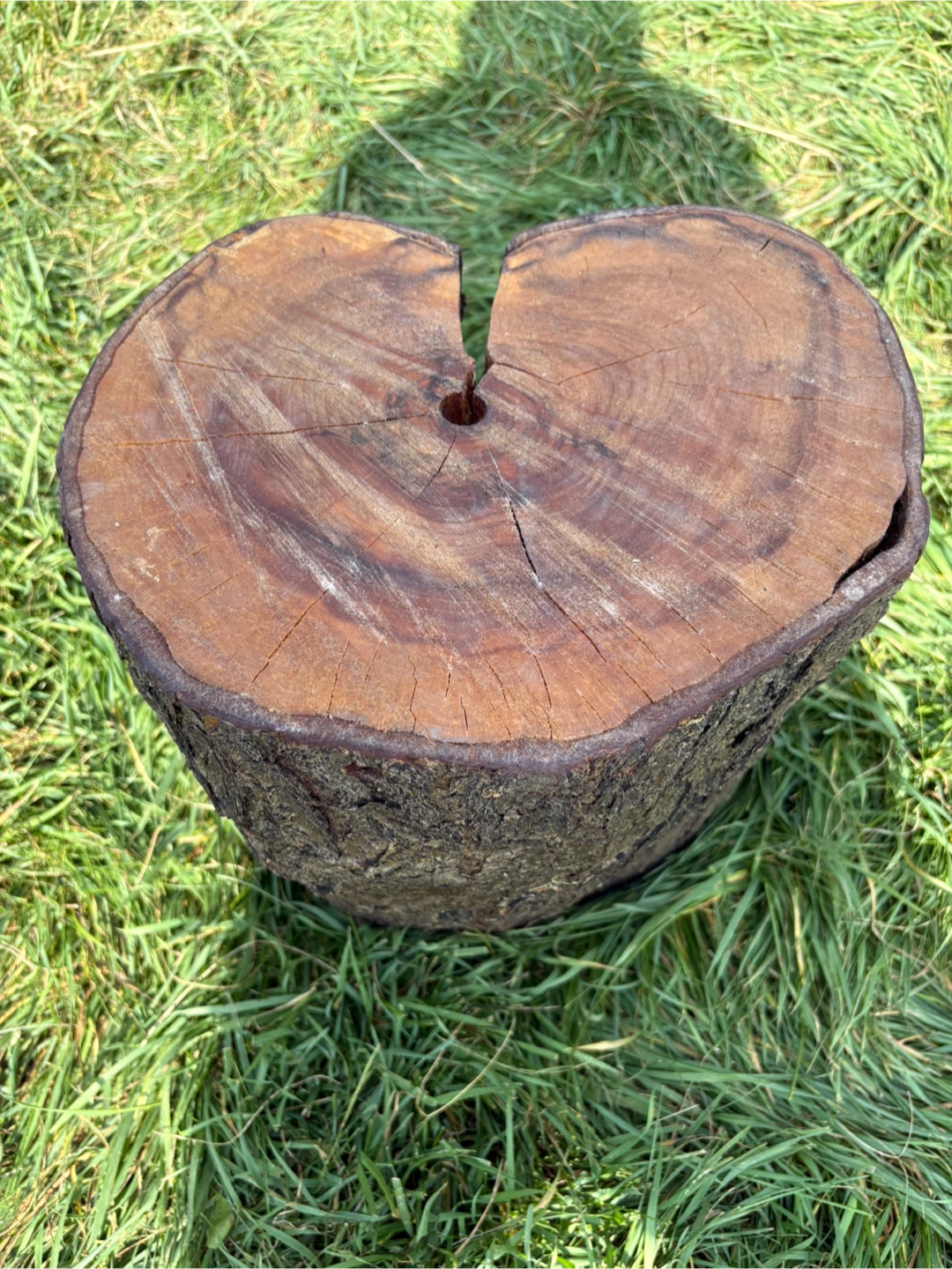 Wooden Tree Stump Side Table - photo 3