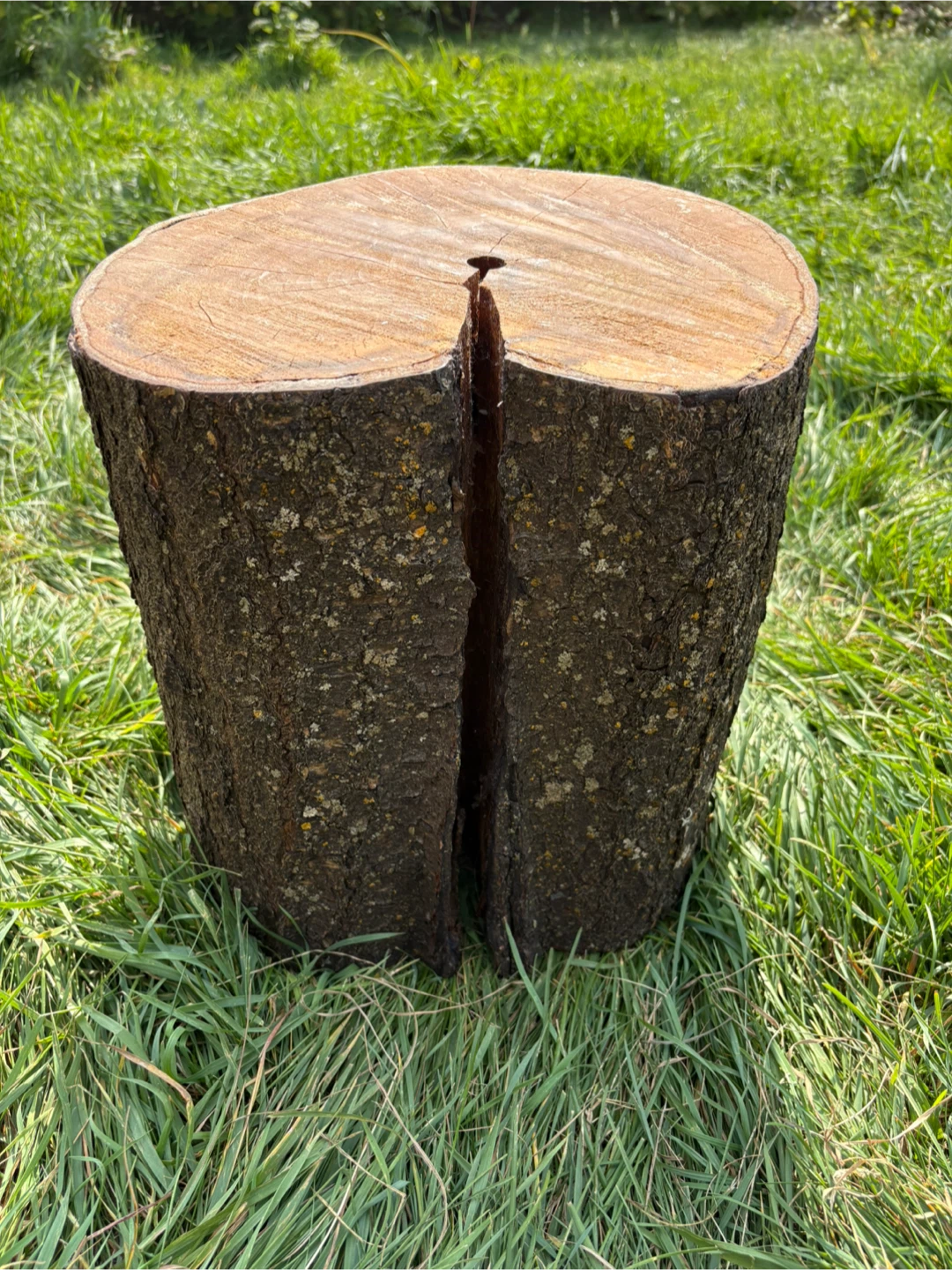 Wooden Tree Stump Side Table - photo 2
