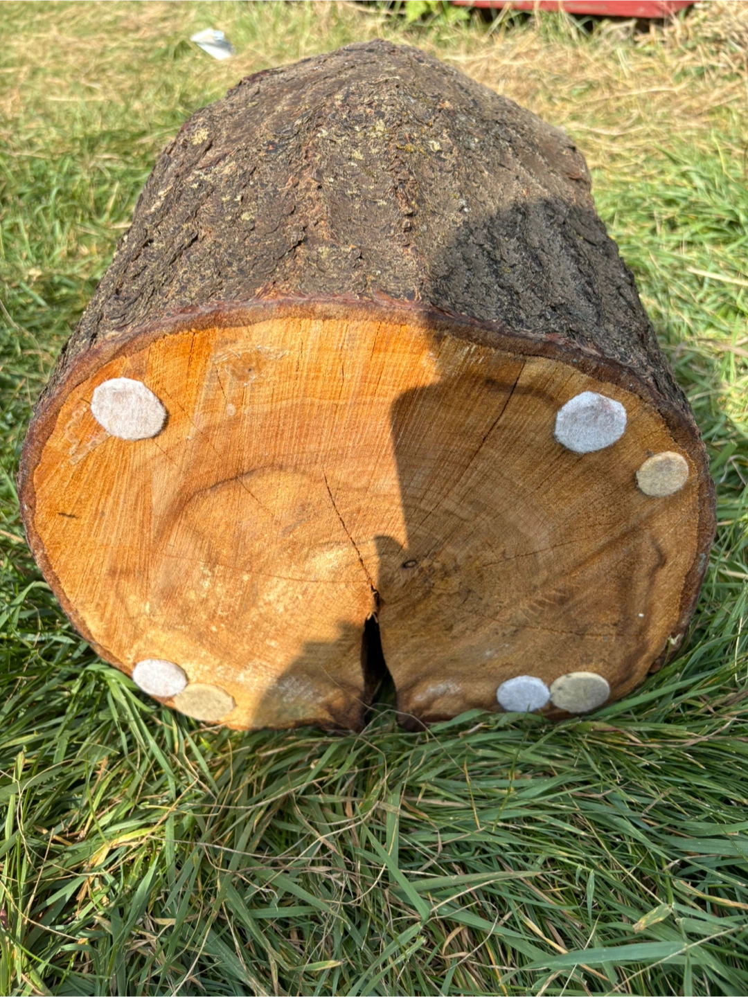 Wooden Tree Stump Side Table - photo 4