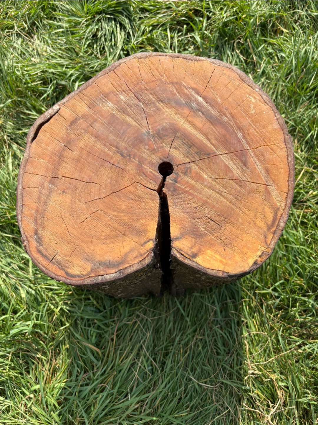 Wooden Tree Stump Side Table