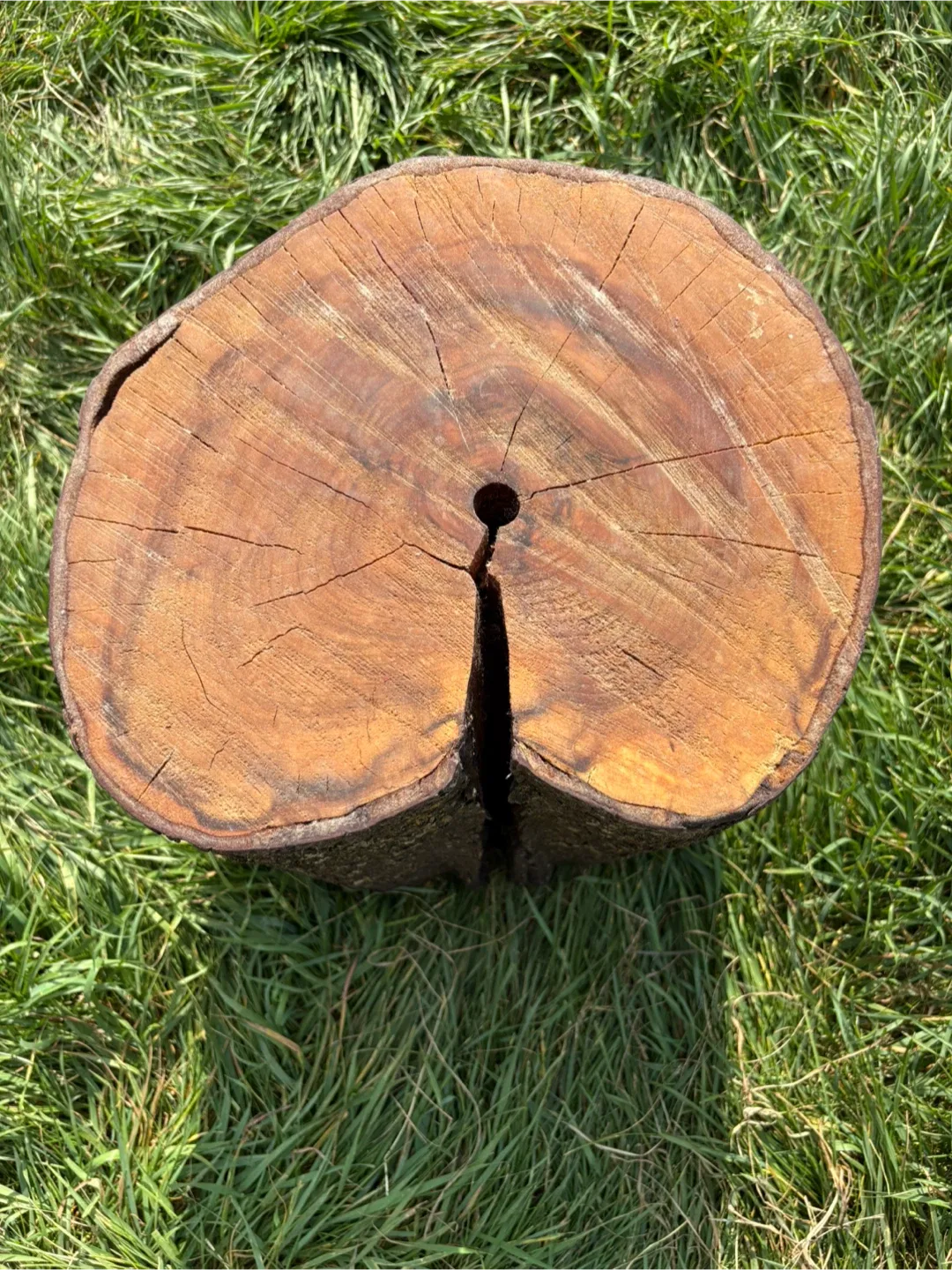 Wooden Tree Stump Side Table thumbnail