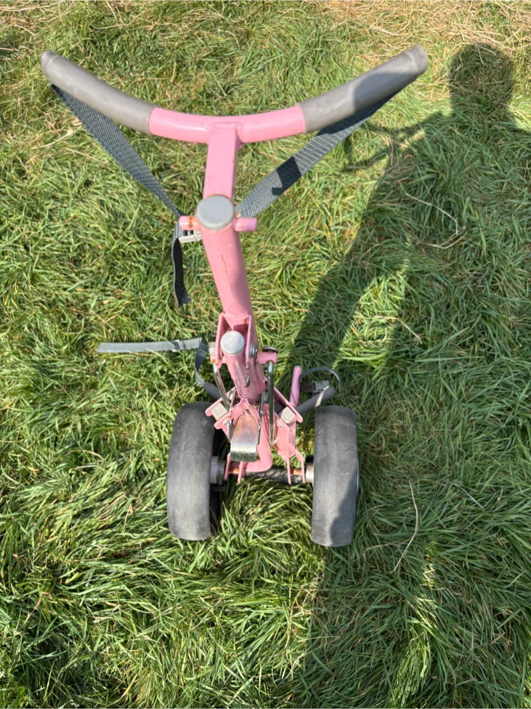 Pink Golf Cart - photo 2