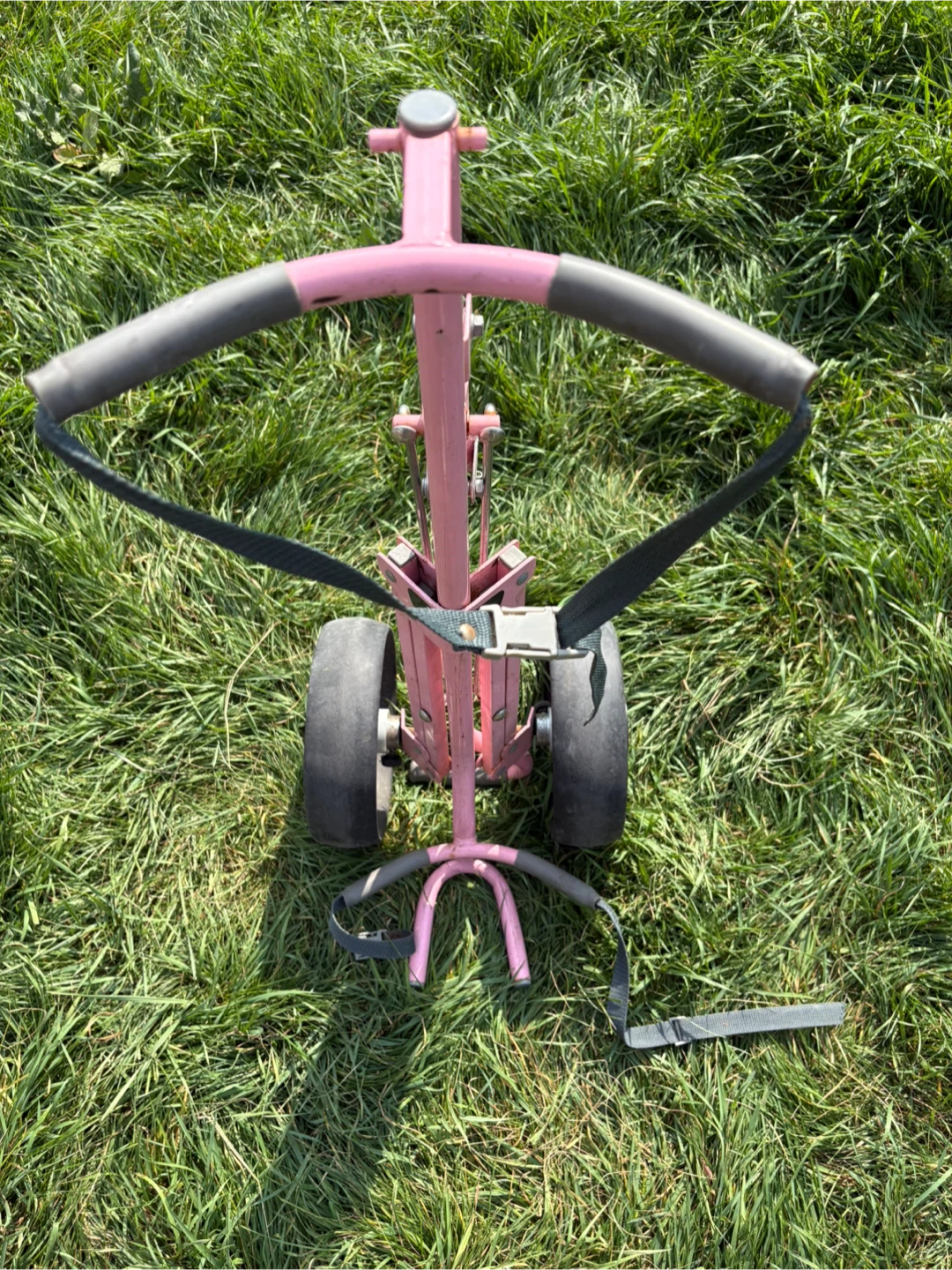 Pink Golf Cart