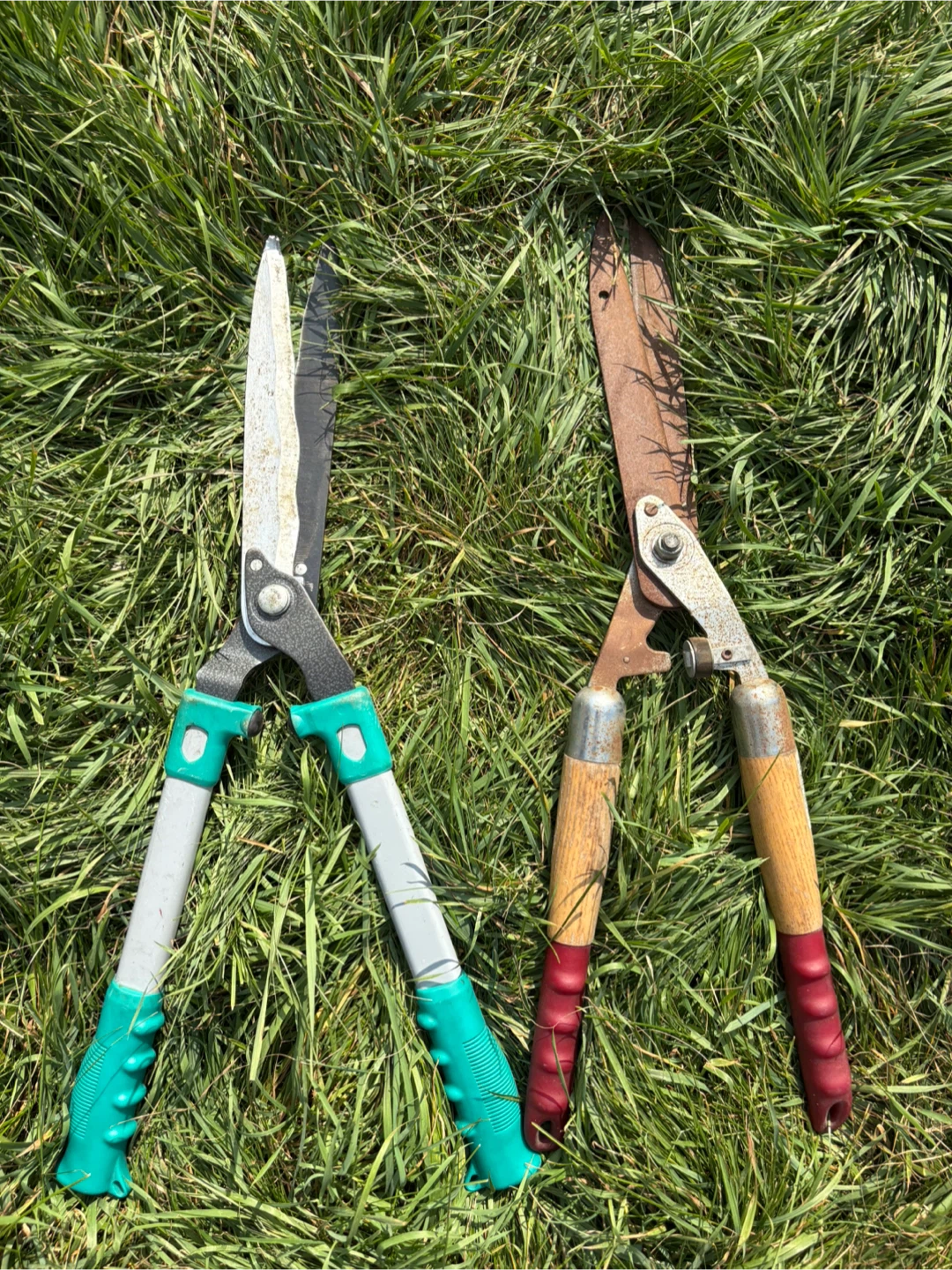 Two Hedge Trimmers - photo 3