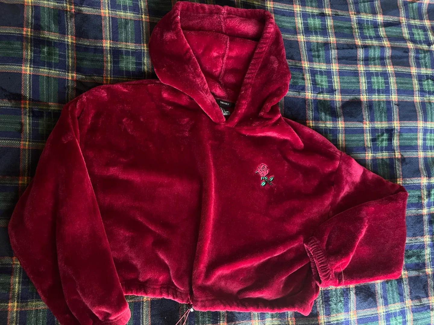 Forever 21 Burgundy Rose Hoodie image indicator(4)