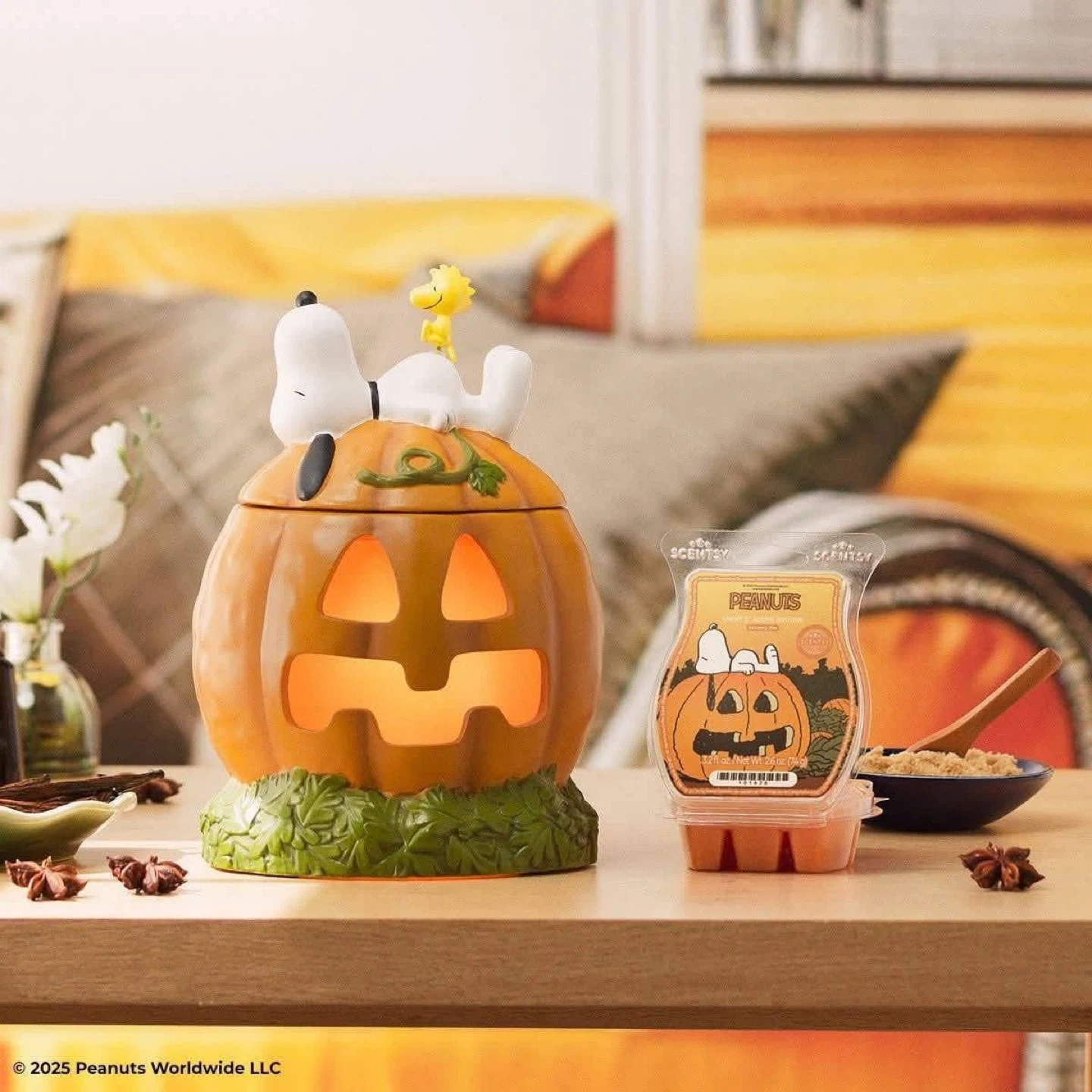 Snoopy - photo 2