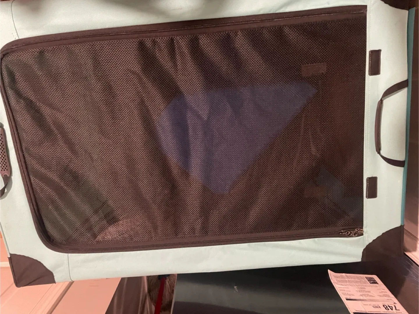 Own Pets Portable Pet Carrier - Teal image indicator(4)