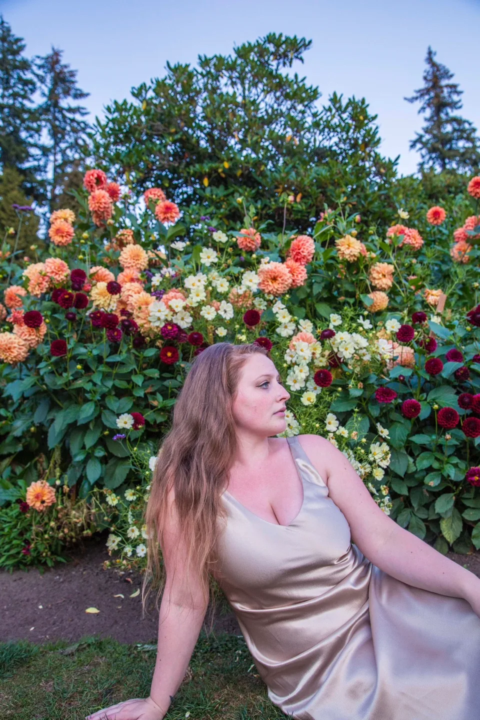 Gold Dress image indicator(7)