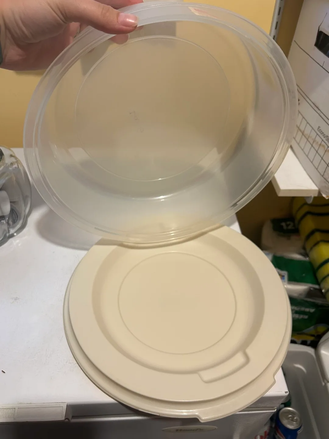 Rubbermaid Pie Saver Table-O-Frigo 🥕 image indicator(4)