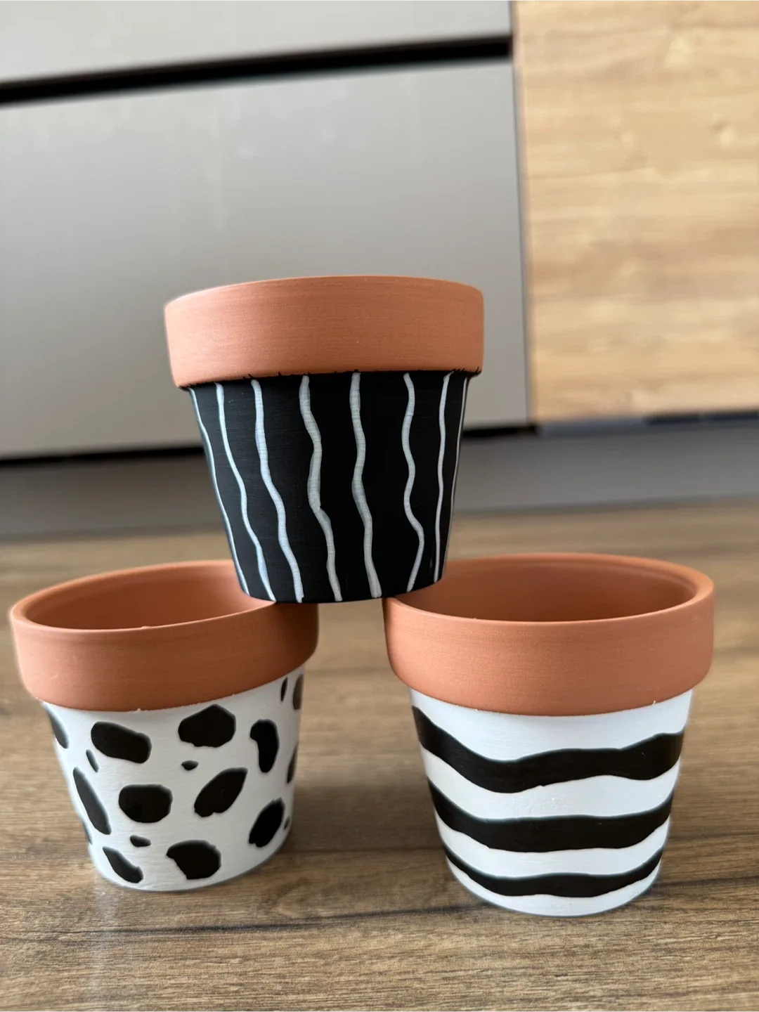 3 Painted Terracotta Plant Pots - Black and White image indicator(7)