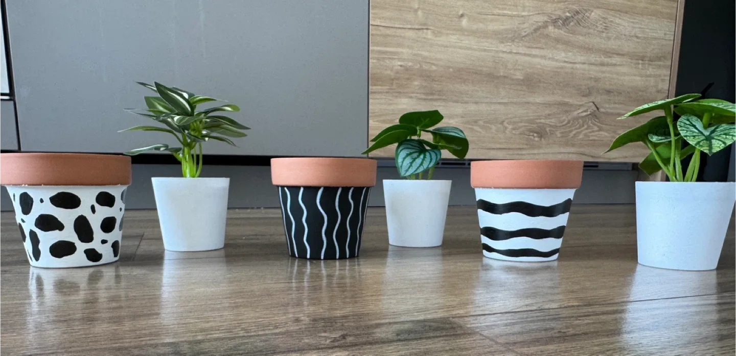 3 Painted Terracotta Plant Pots - Black and White image indicator(10)