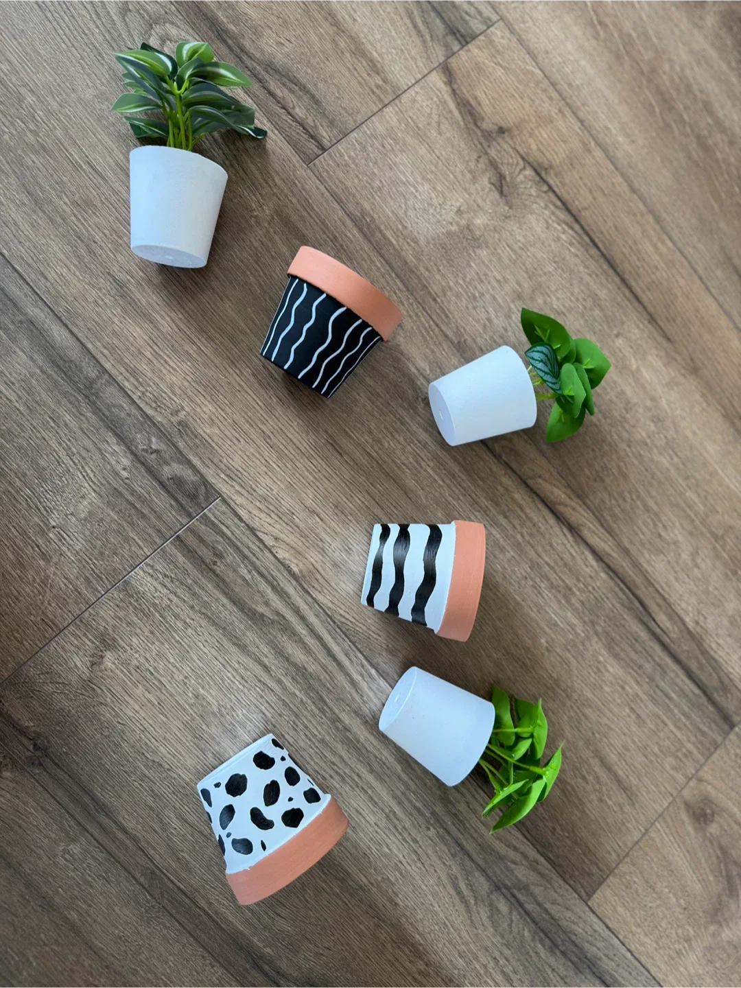 3 Painted Terracotta Plant Pots - Black and White image indicator(9)