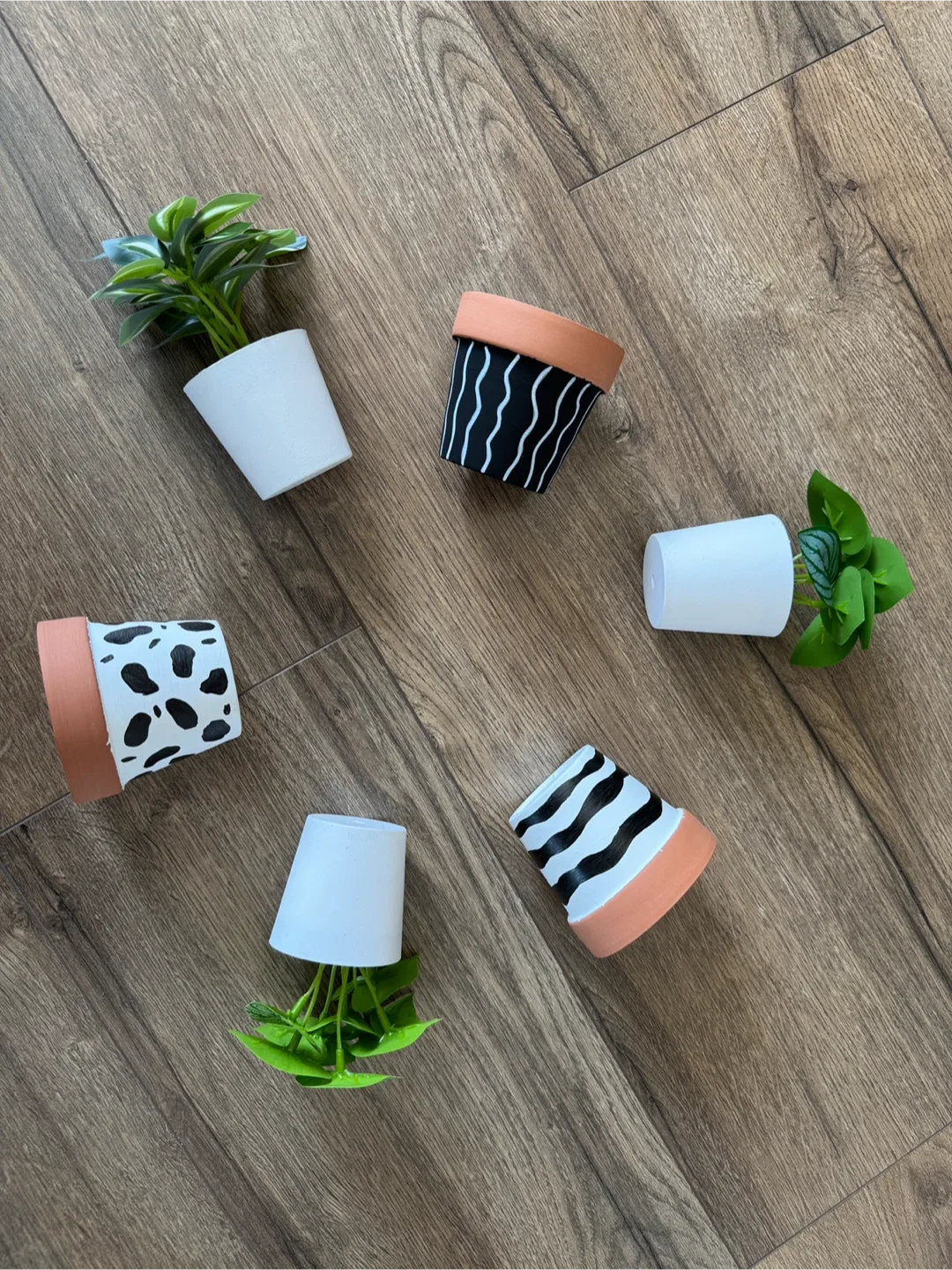 3 Painted Terracotta Plant Pots - Black and White image indicator(8)