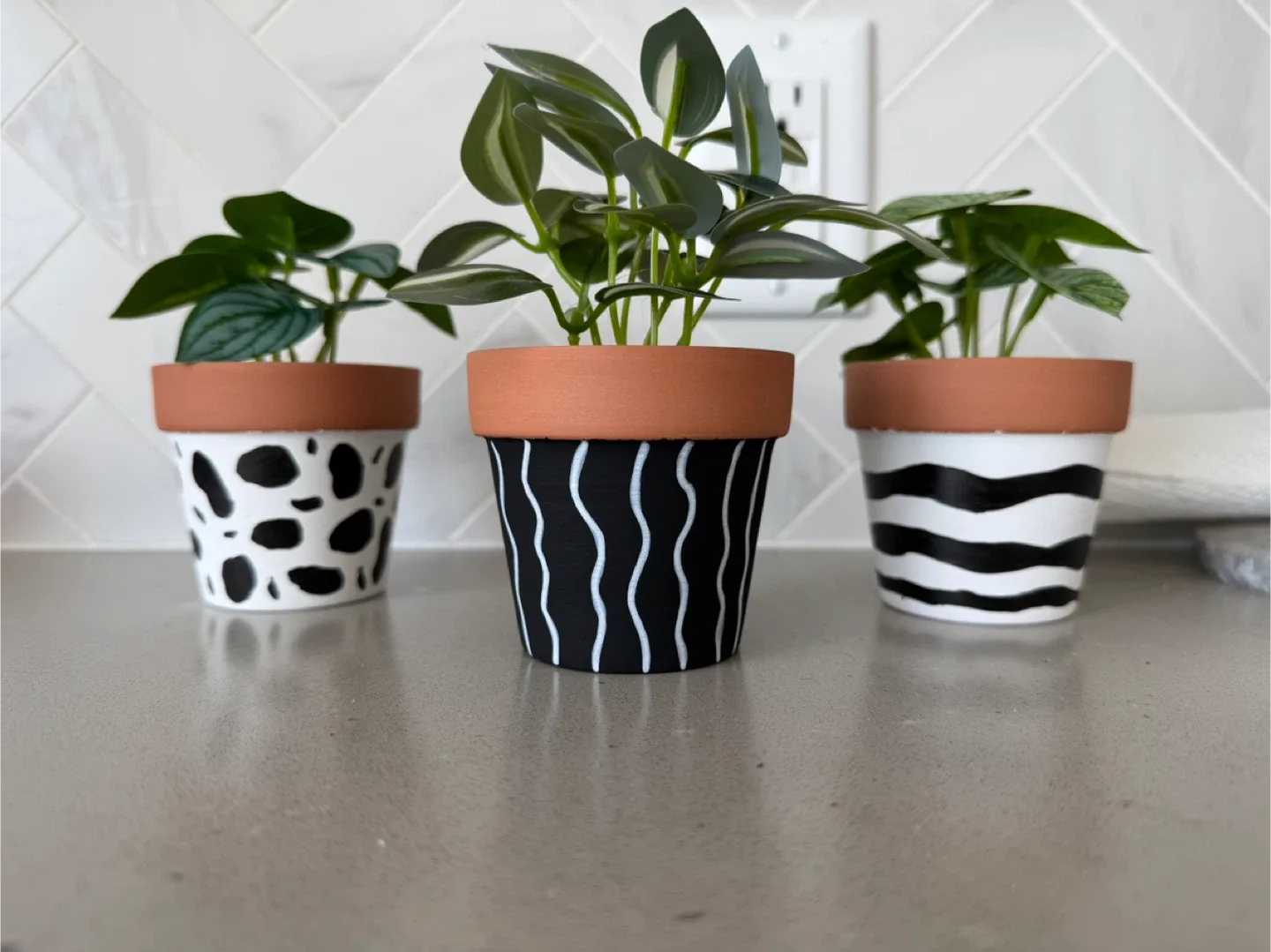 3 Painted Terracotta Plant Pots - Black and White image indicator(2)