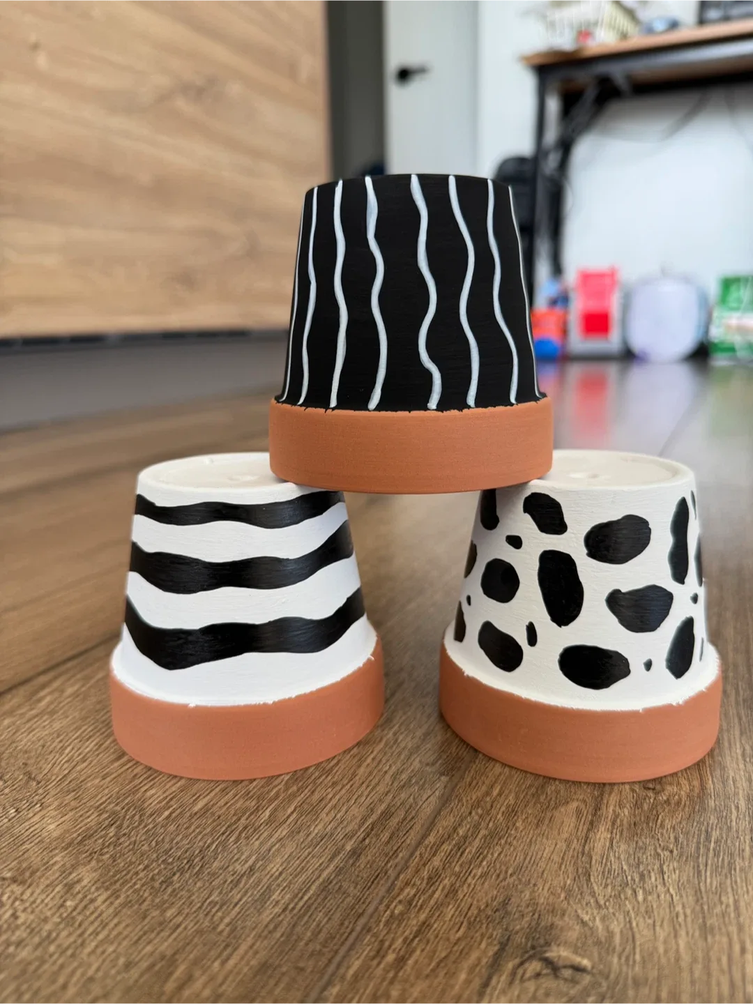 3 Painted Terracotta Plant Pots - Black and White image indicator(5)