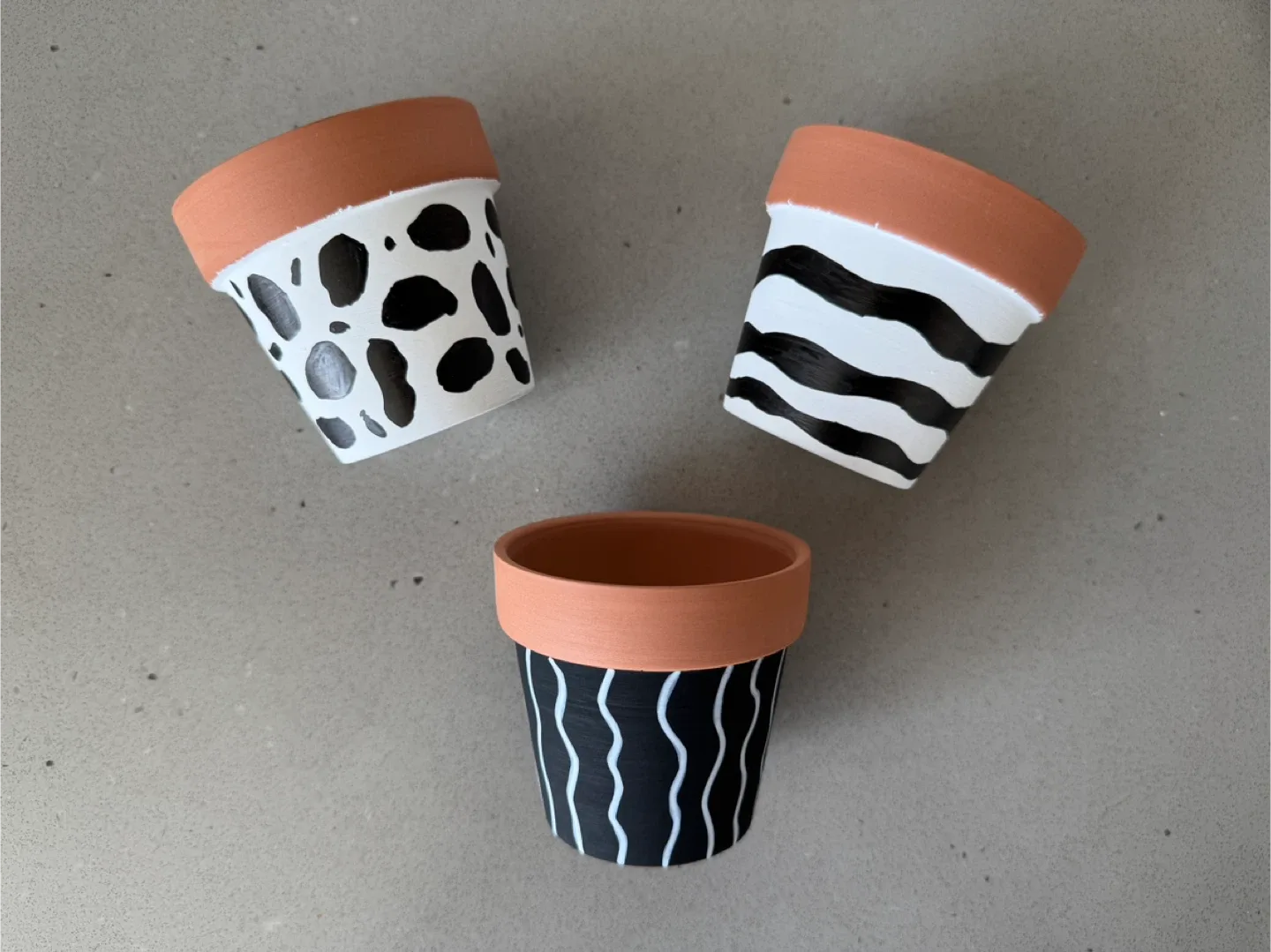 3 Painted Terracotta Plant Pots - Black and White image indicator(3)