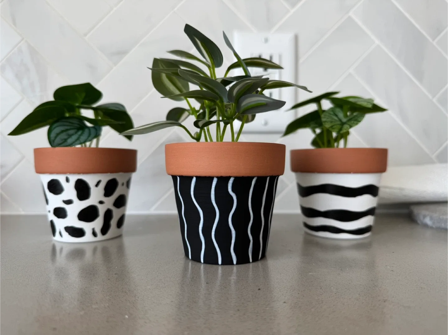 3 Painted Terracotta Plant Pots - Black and White image indicator(4)