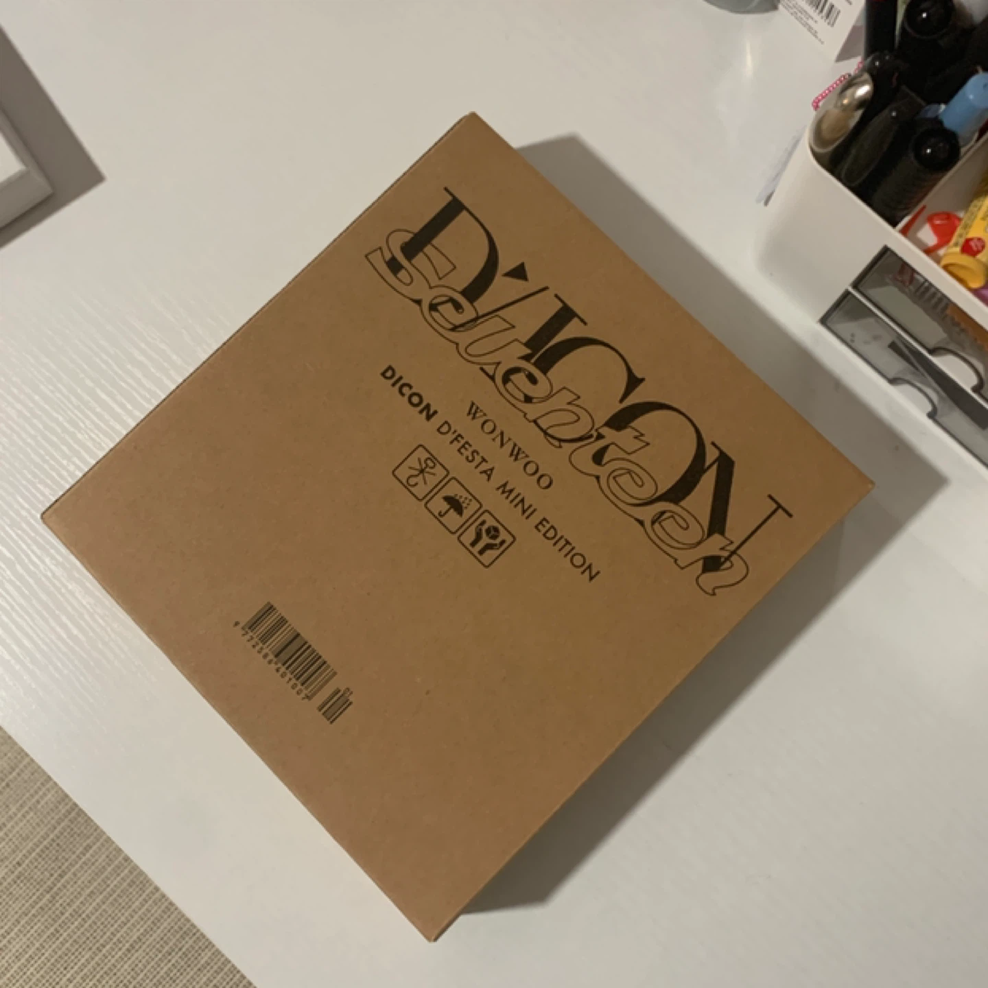 wonwoo dicon dfesta