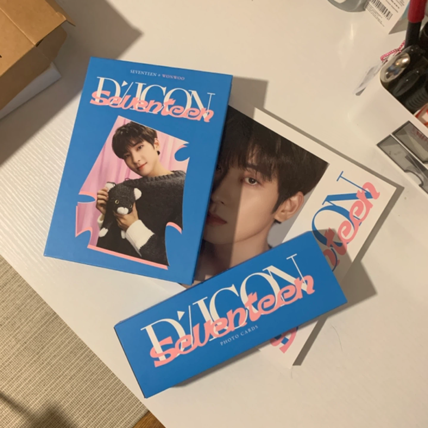 wonwoo dicon dfesta - photo 2