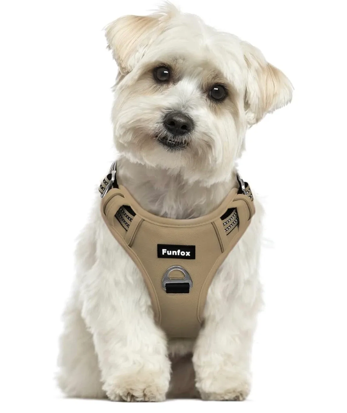 Brand New Dog Harness - Size S thumbnail