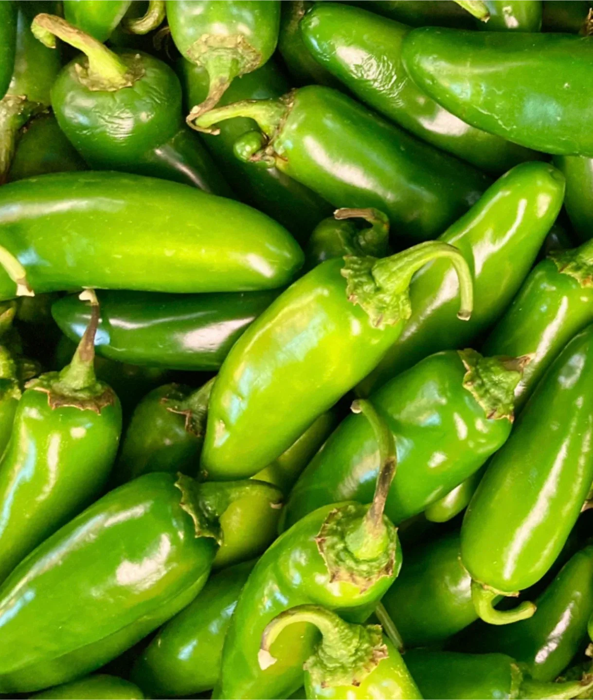 Jalapeño peppers image indicator(2)