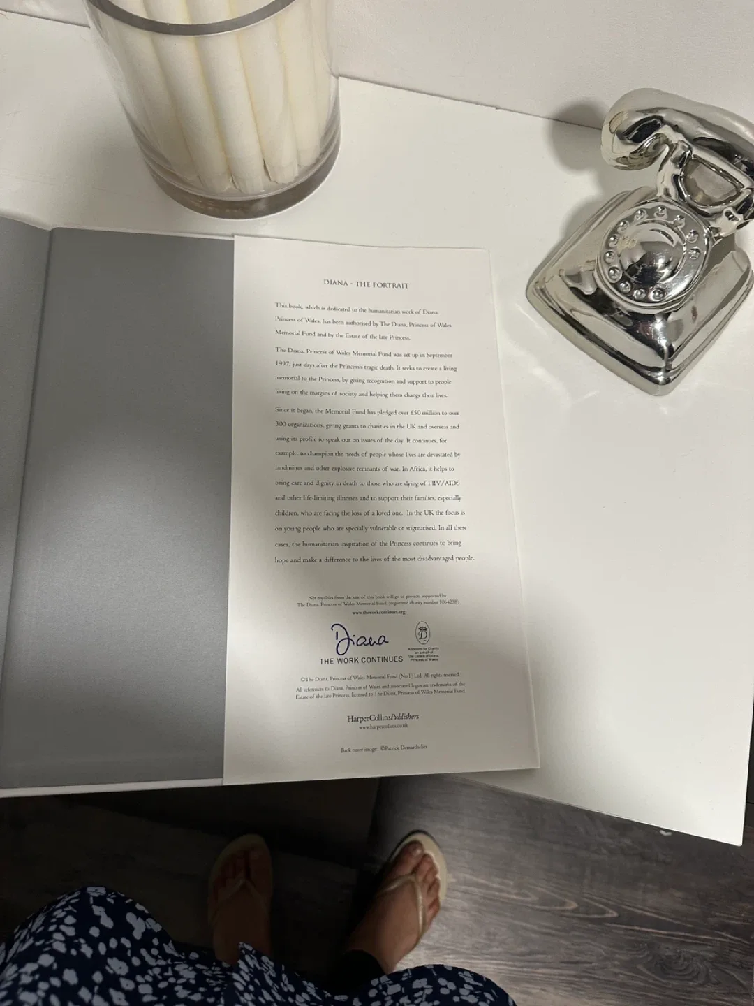 Diana The Portrait Book image indicator(3)