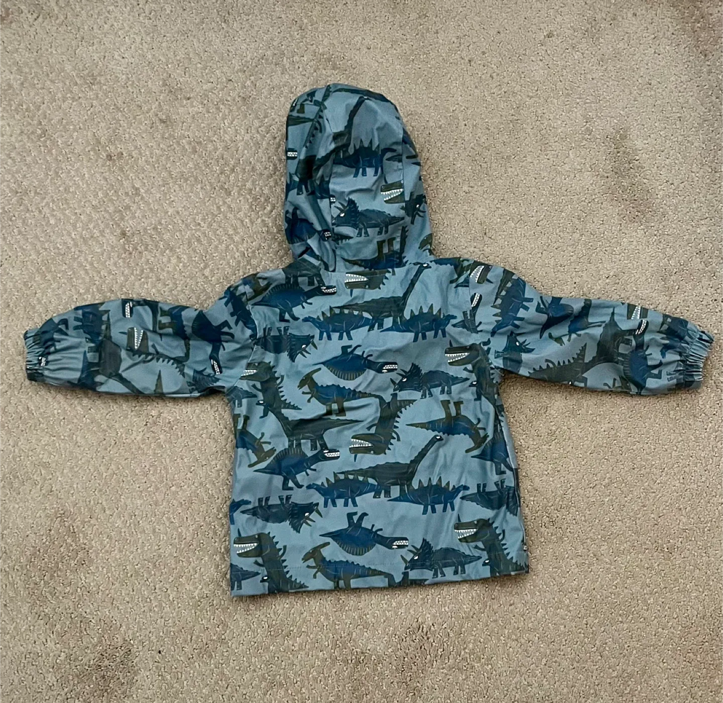 Old Navy Dinosaur Rain Jacket - Size 2T image indicator(3)