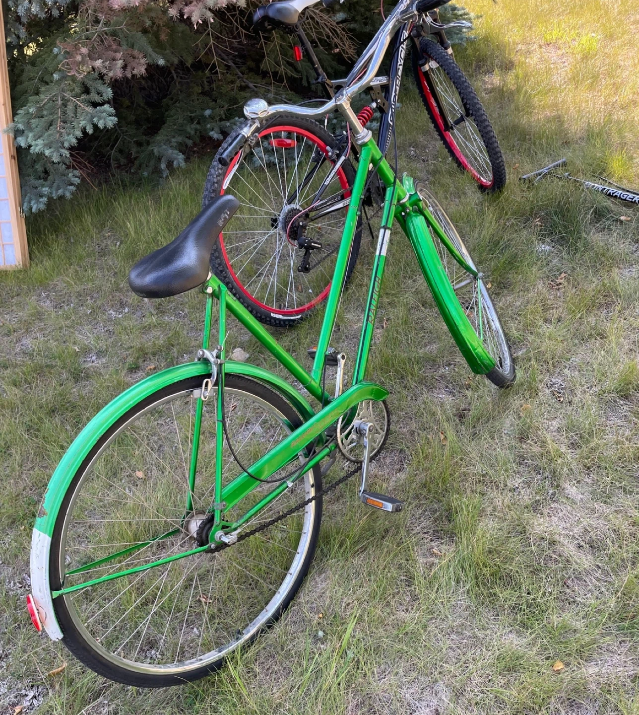 Vintage Raleigh Bike