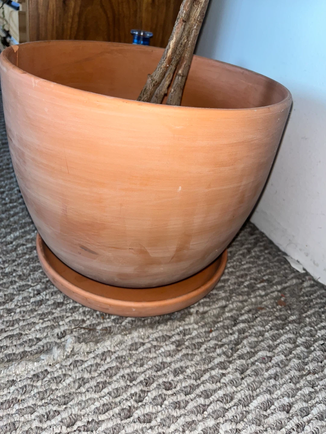 Terracotta Plant Pot - photo 5