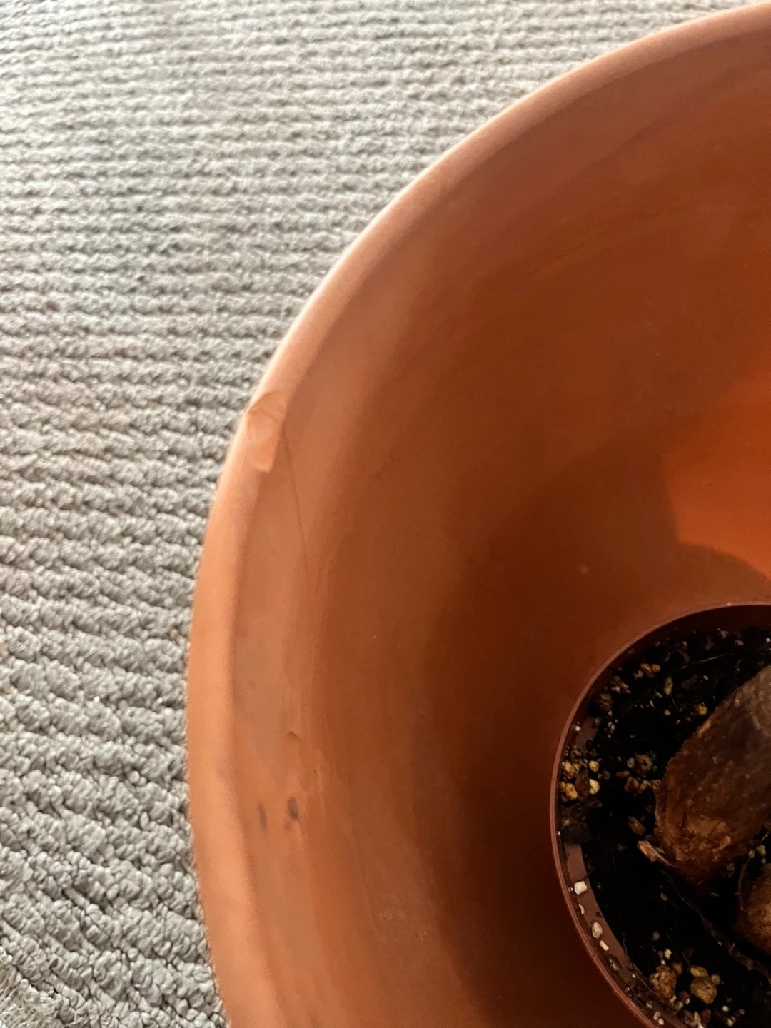 Terracotta Plant Pot - photo 2