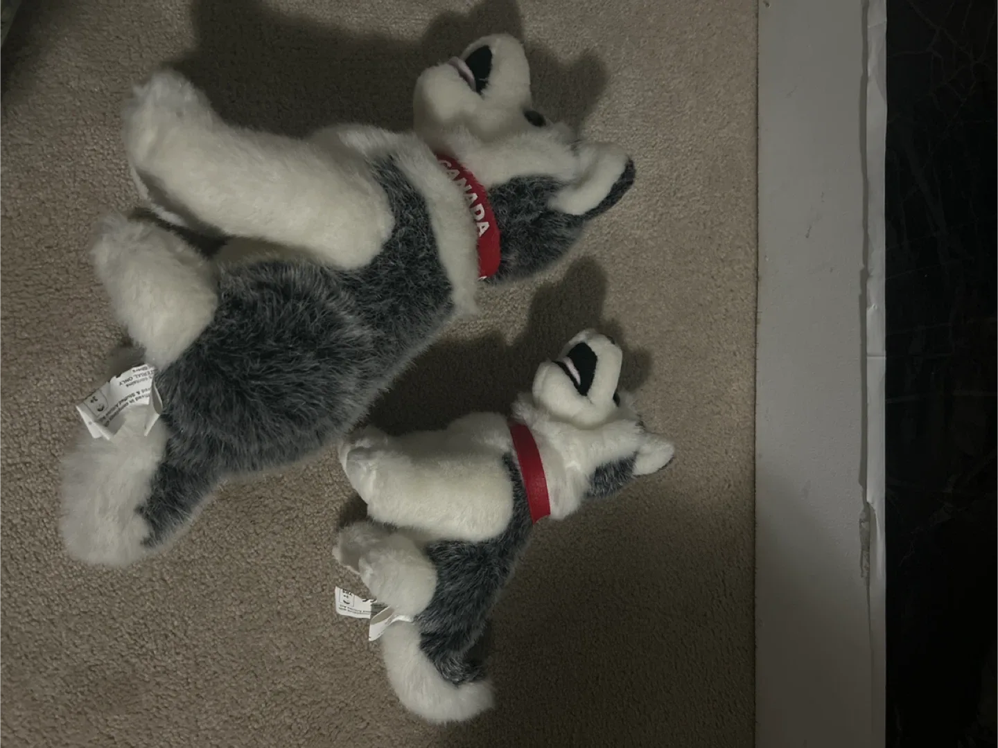 Husky Dog Plush Set - Canada Souvenir image indicator(2)