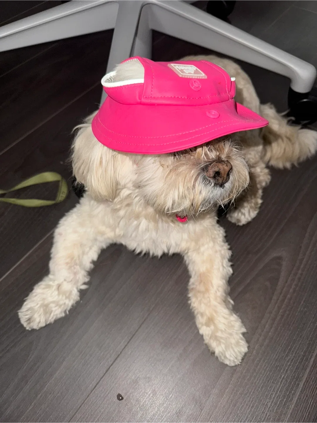 Canada Pooch rain hat size S image indicator(4)