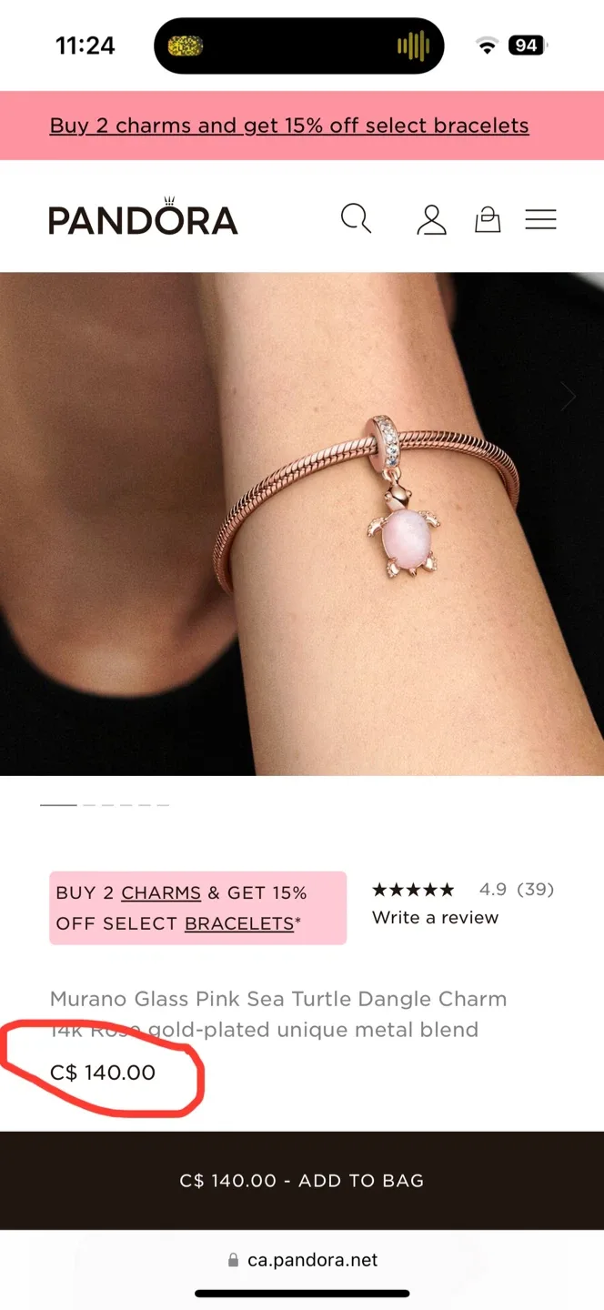 Turtle Pandora Charm image indicator(2)