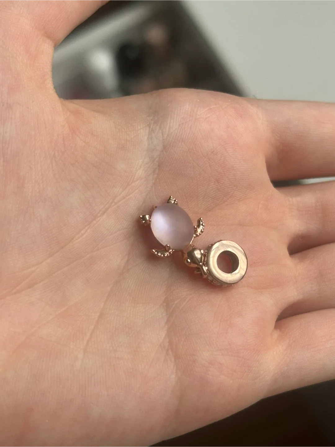 Turtle Pandora Charm image indicator(5)