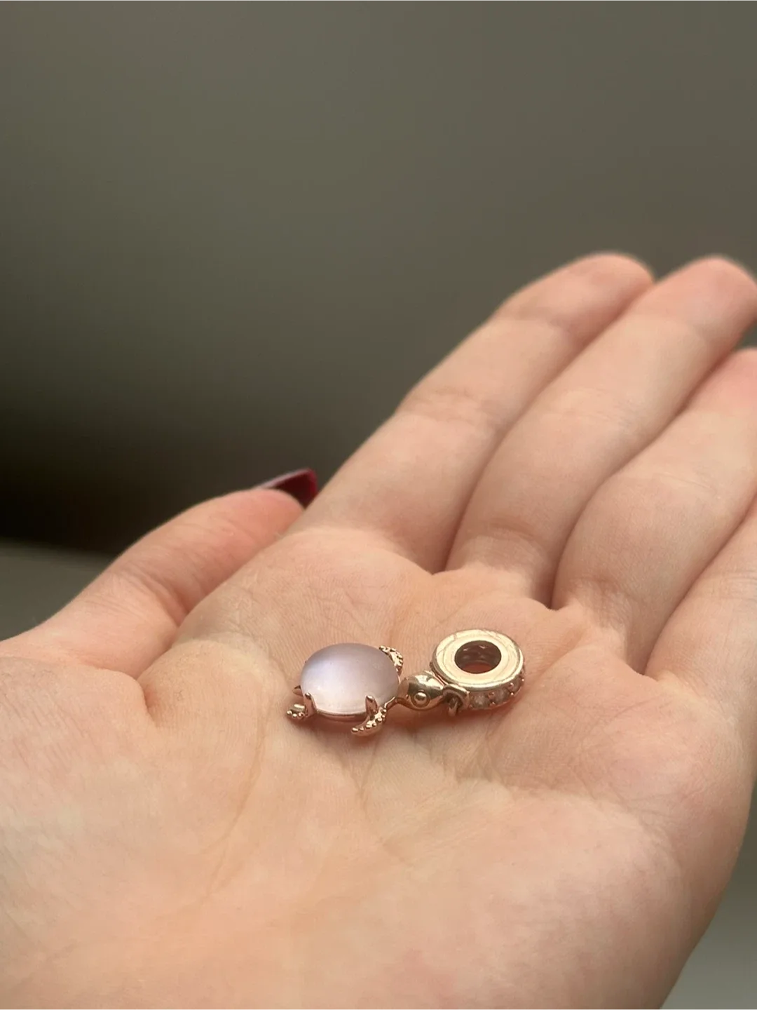 Turtle Pandora Charm image indicator(3)