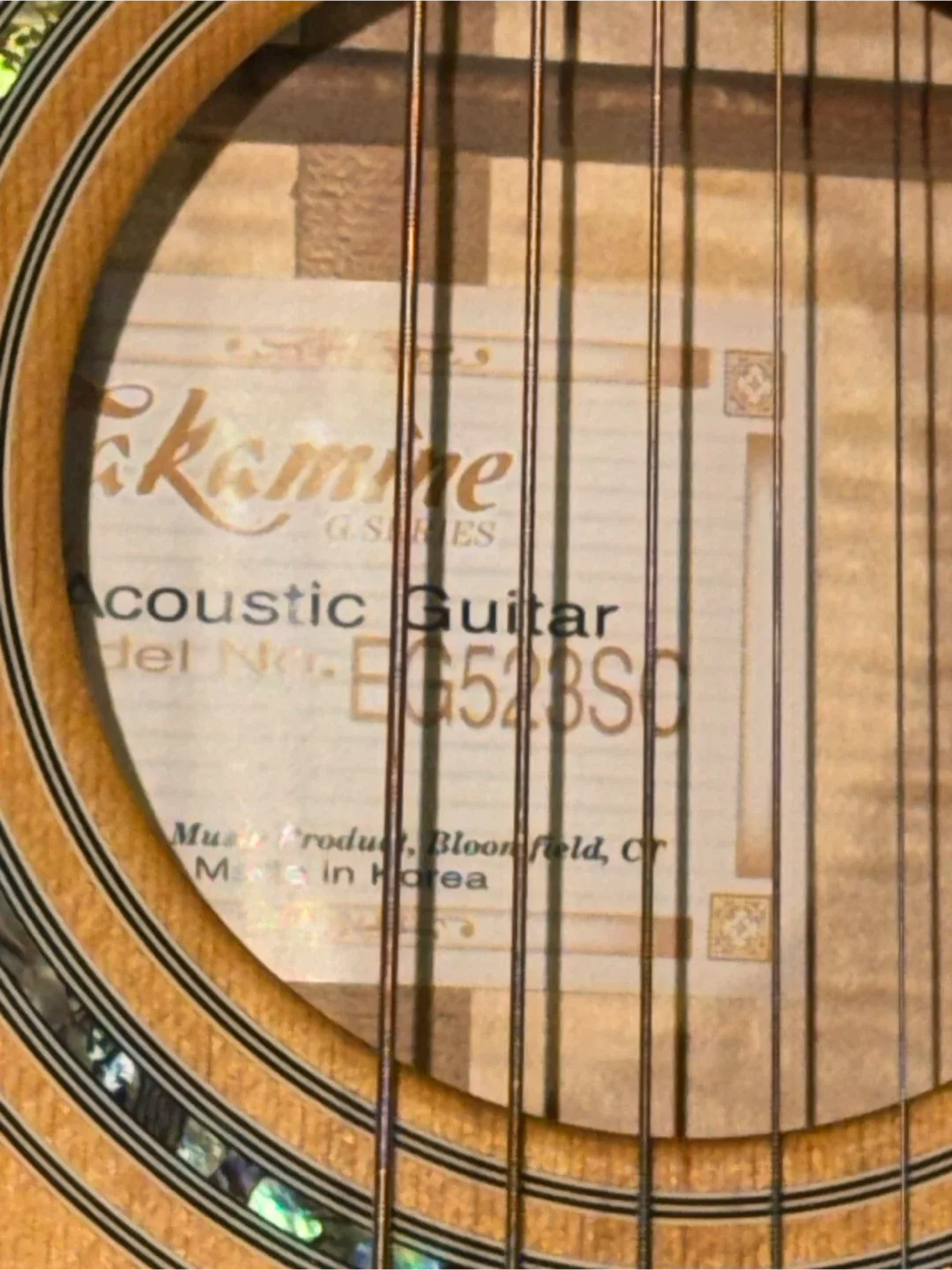 Takamine Electric Acoustic image indicator(4)