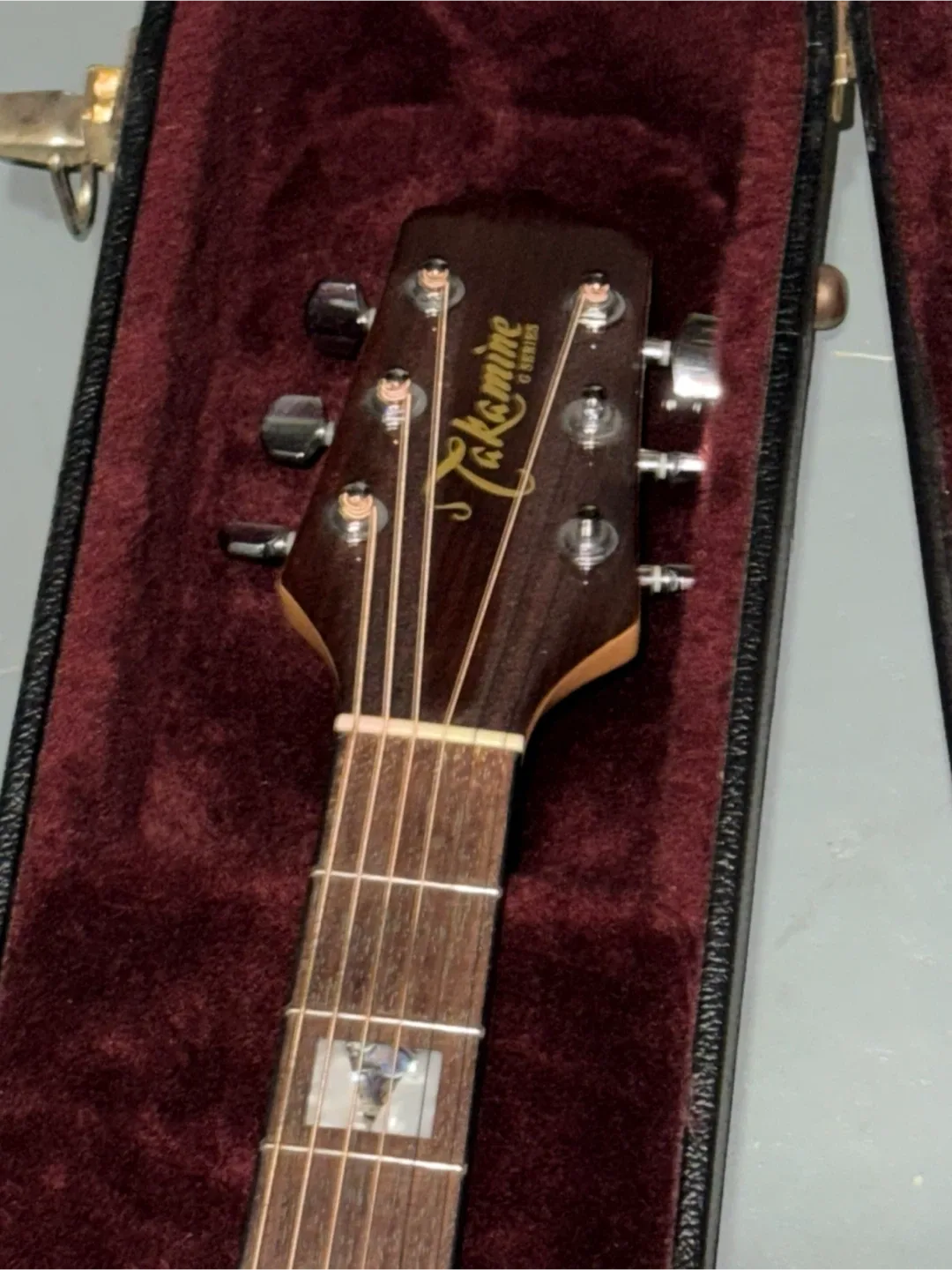 Takamine Electric Acoustic image indicator(3)