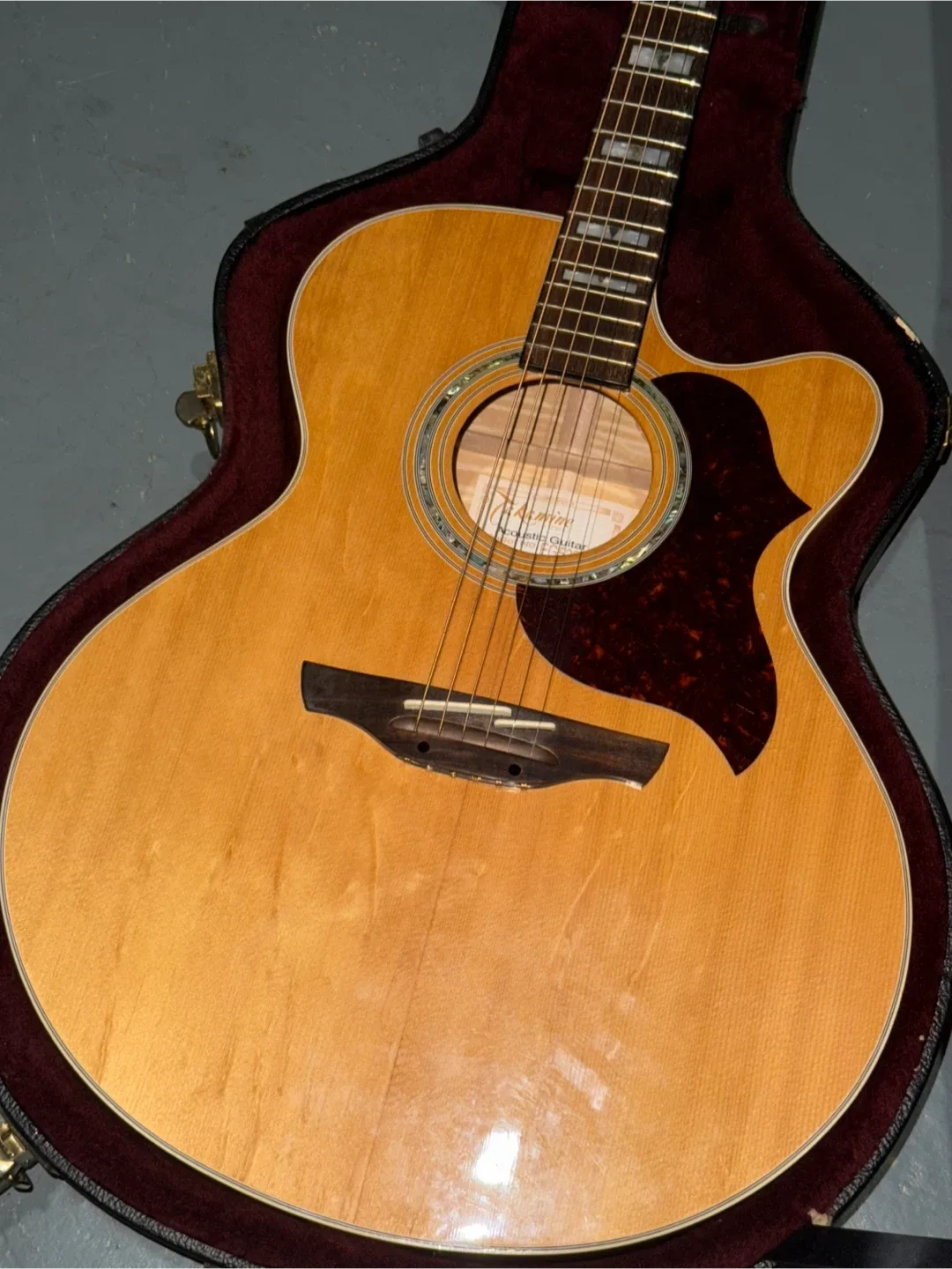 Takamine Electric Acoustic image indicator(2)