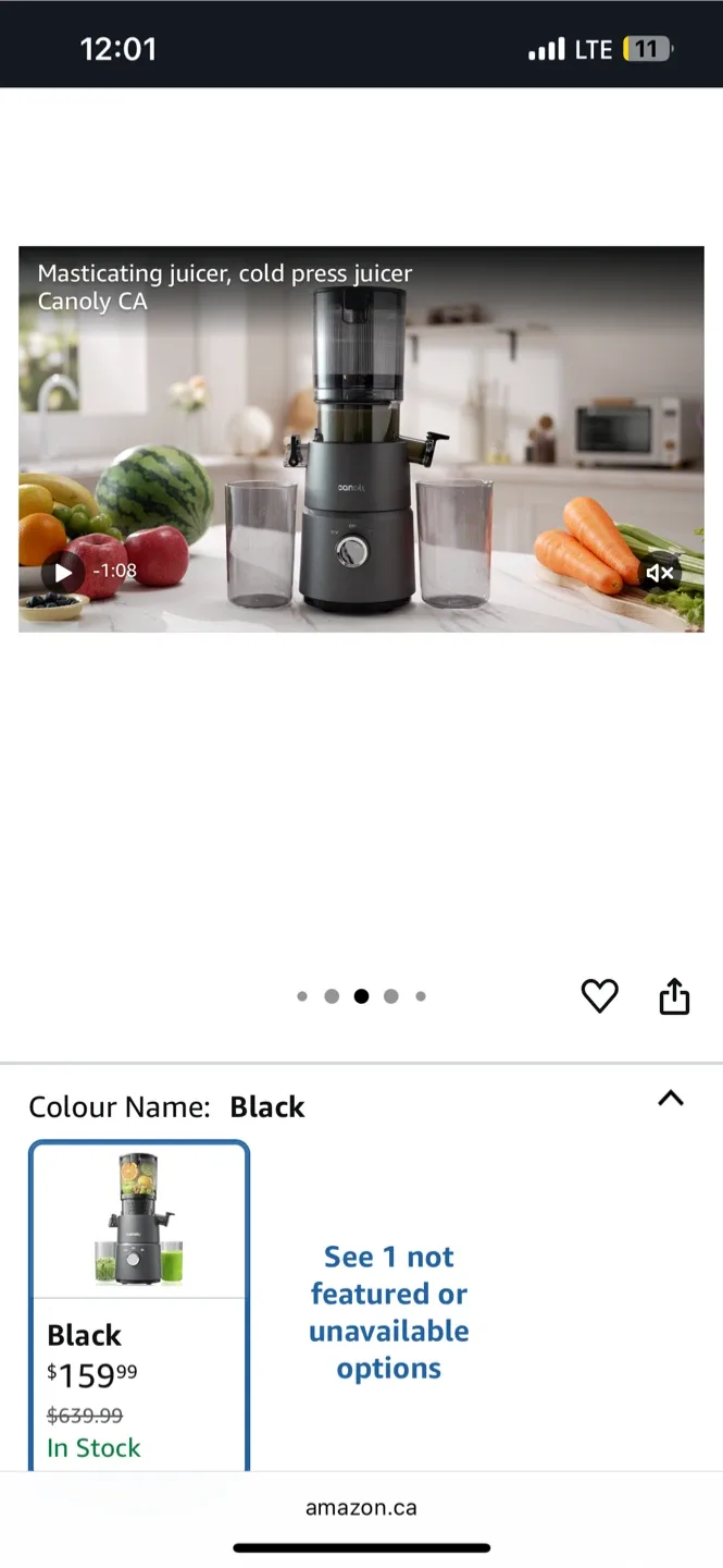 Canoly CA Masticating Cold Press Juicer - Black image indicator(4)