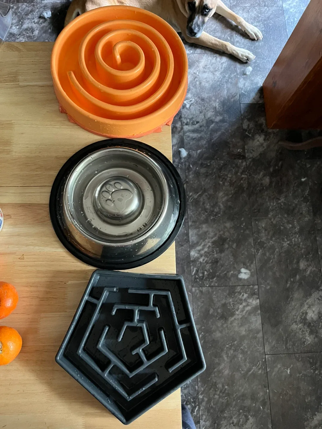 Dog Slow Feeder Bowls (3) thumbnail