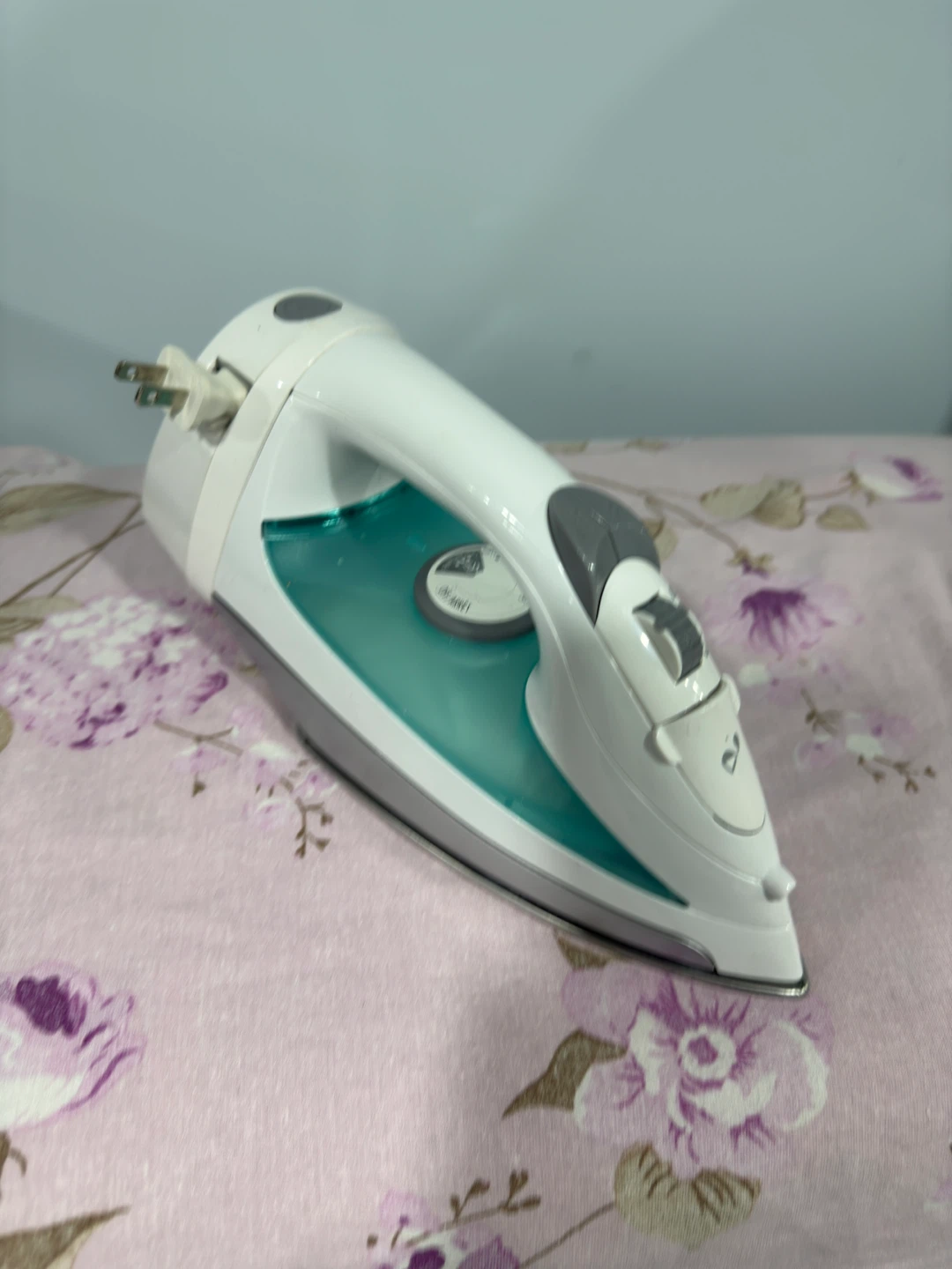 Hamilton Beach Steam Iron - photo 2