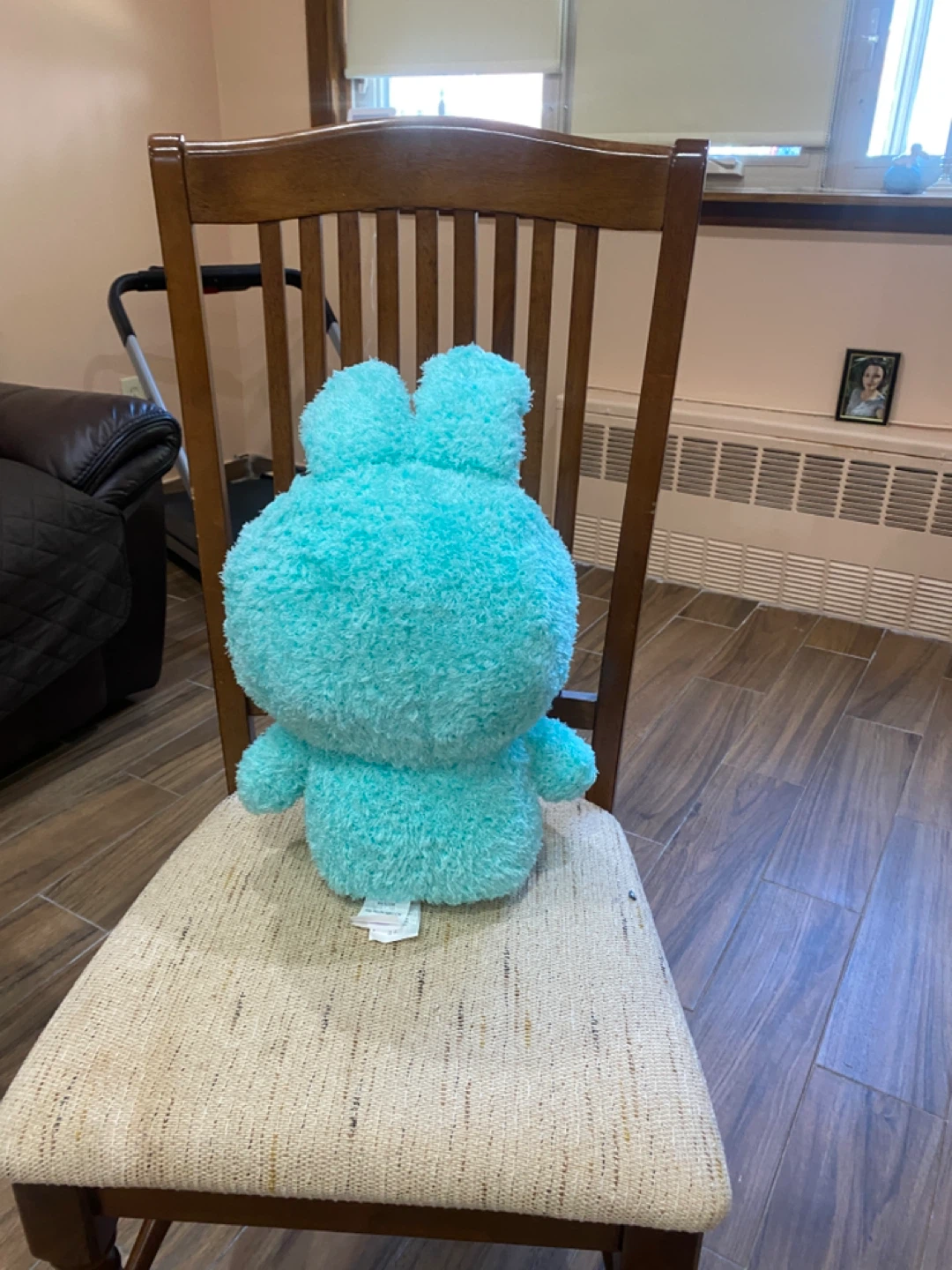 Hello Kitty and Friends Plush Toy - photo 3