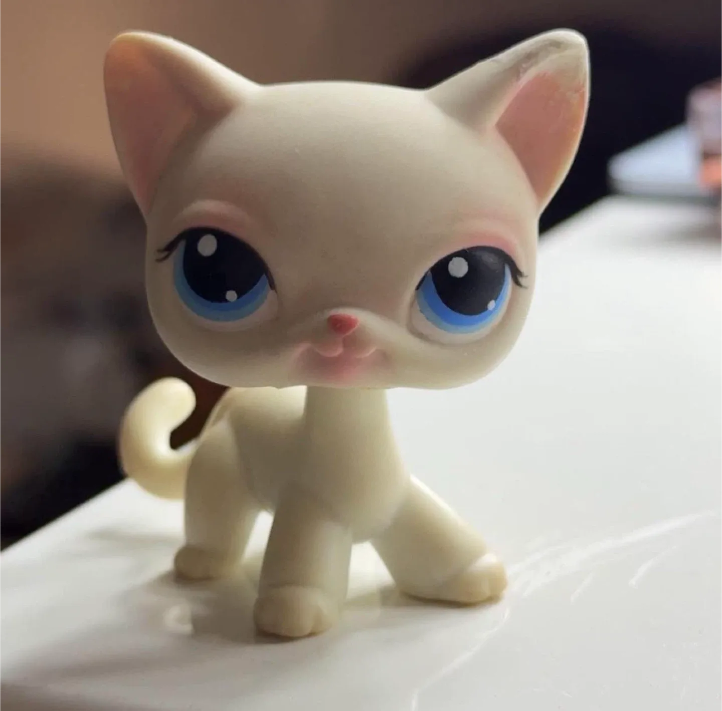 LPS Authentic Littlest Pet Shop #64 White Shorthair Cat image indicator(2)