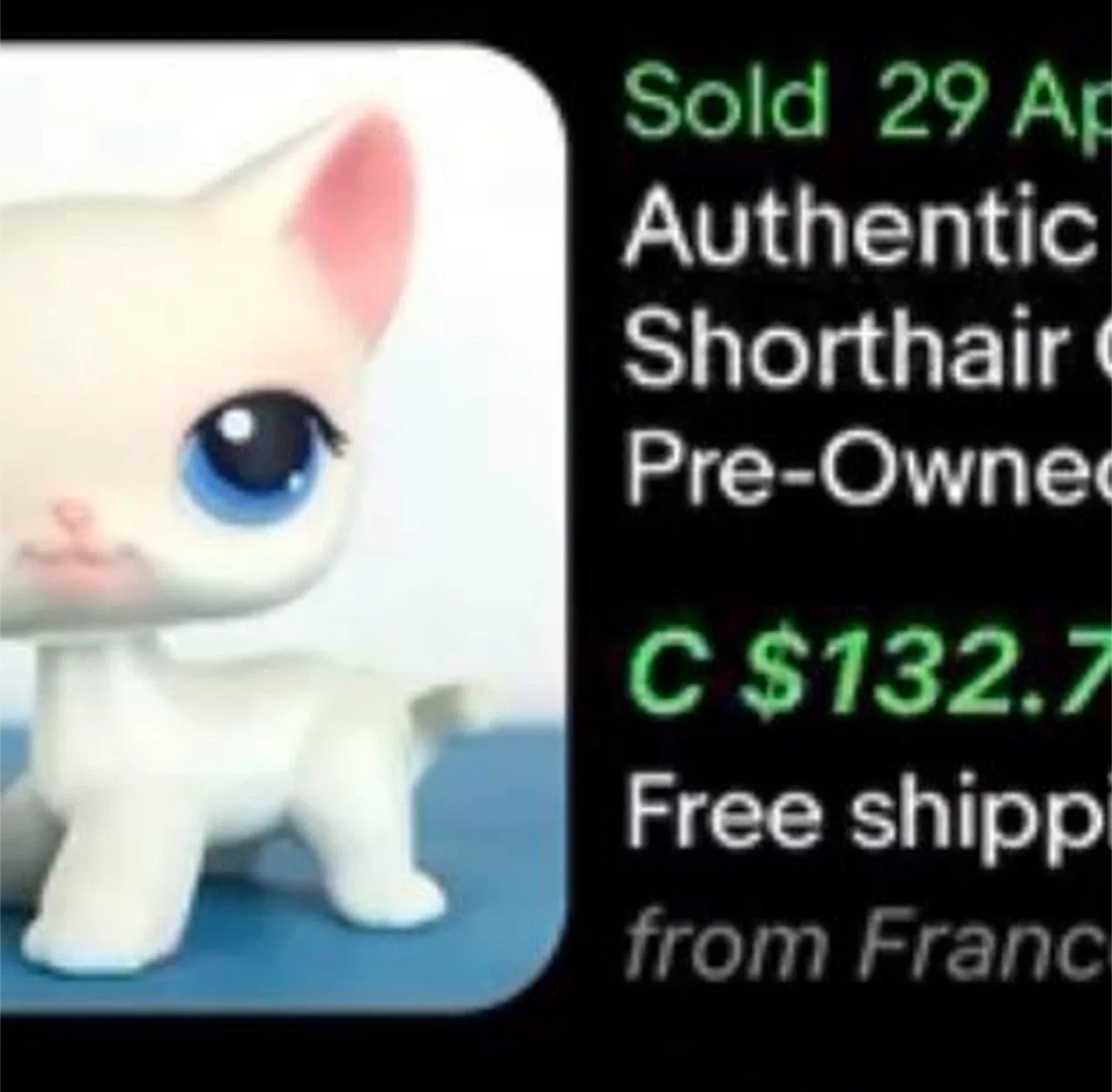 LPS Authentic Littlest Pet Shop #64 White Shorthair Cat image indicator(4)