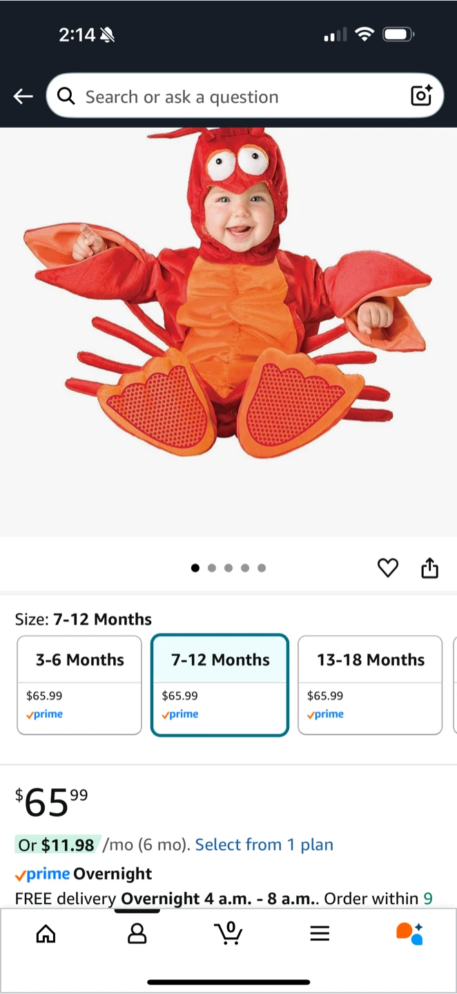 Lobster Costume - Size 9-12 Months - photo 2