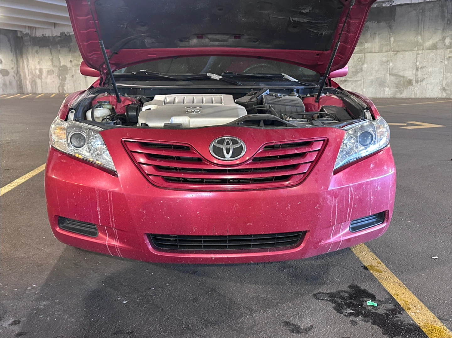 Headlight Restoration - photo 2