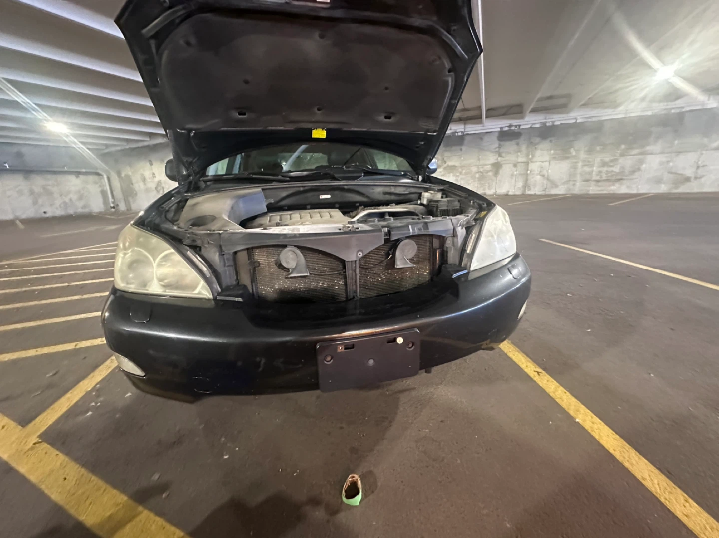 Headlight Restoration - photo 5