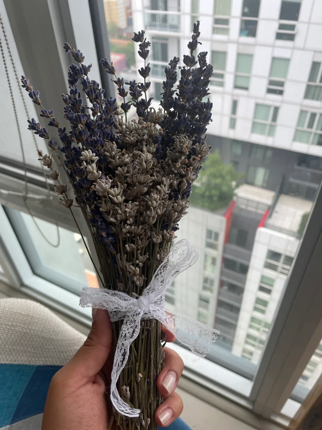Dried Lavender Bouquet thumbnail
