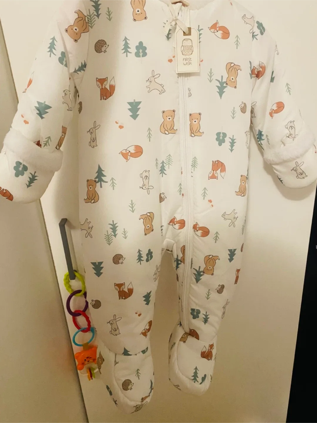 First Wish Baby Snowsuit 9-12 months image indicator(2)