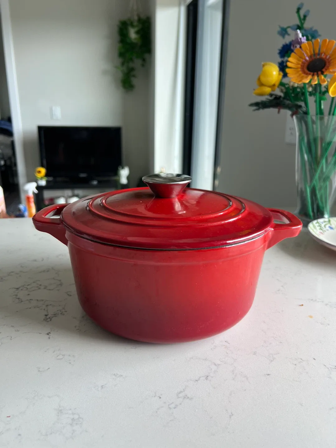 Master Chef Round Dutch Oven - Red, 2.7L